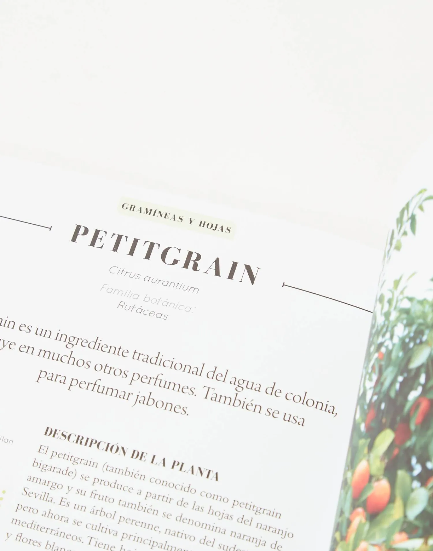 Natura Selection Aceites Esenciales Outlet