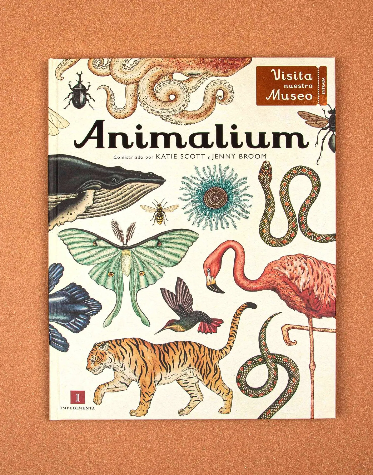 Natura Selection Animalium Outlet