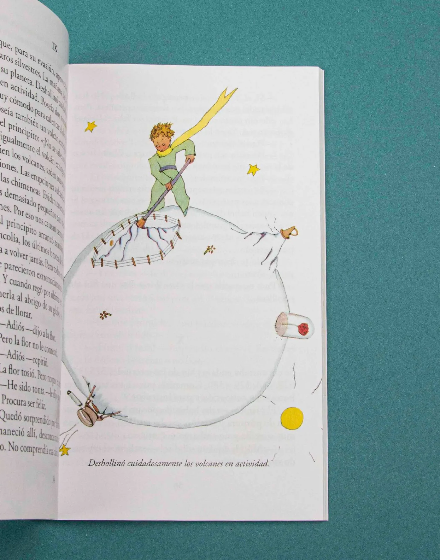 Natura Selection El Principito New