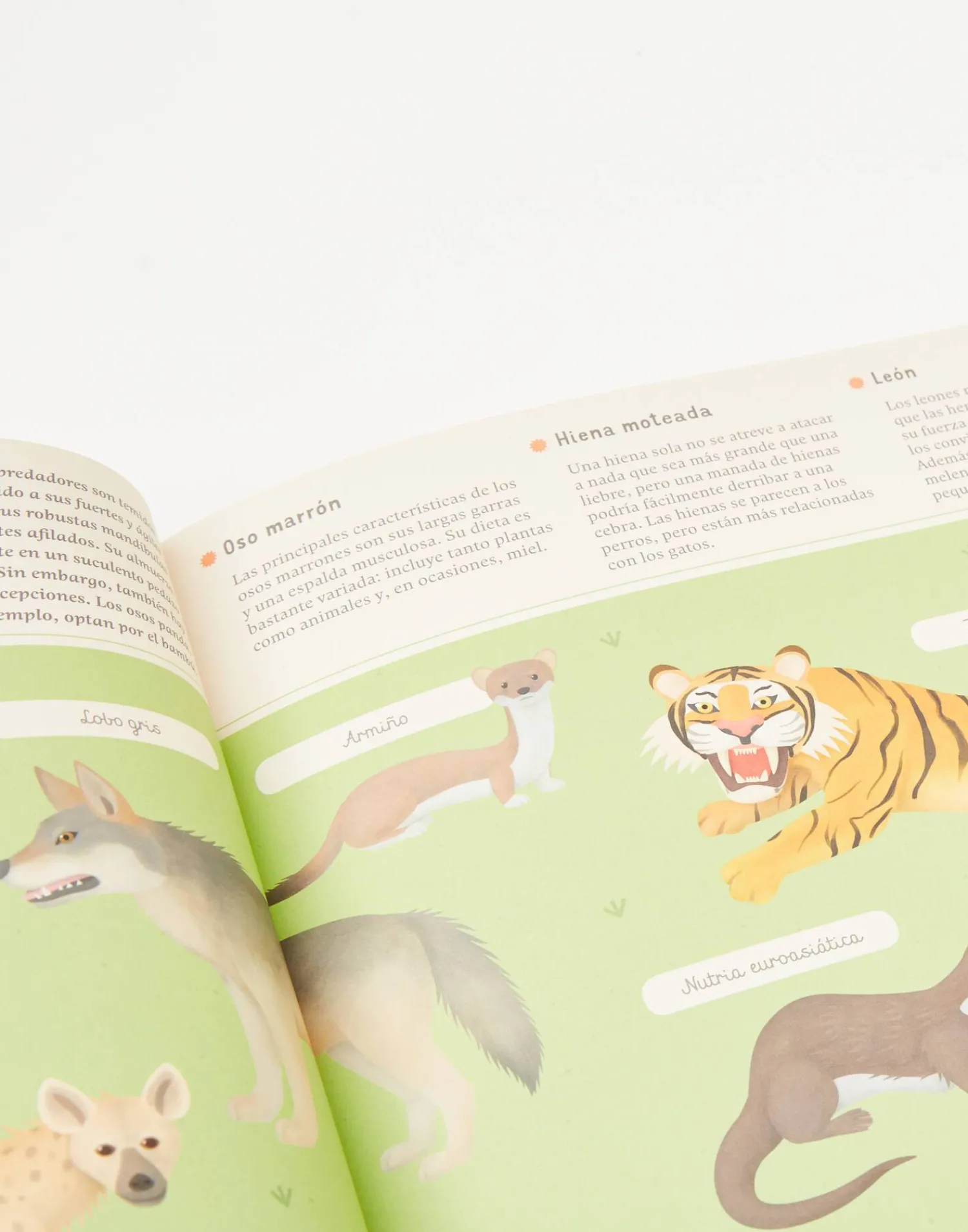 Natura Selection Enciclopedia De Animales Para Jóvenes Lectores Clearance