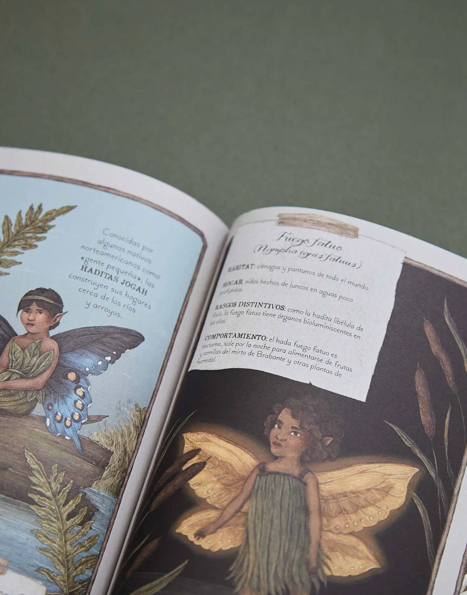 Natura Selection Historia Natural De Las Hadas Discount