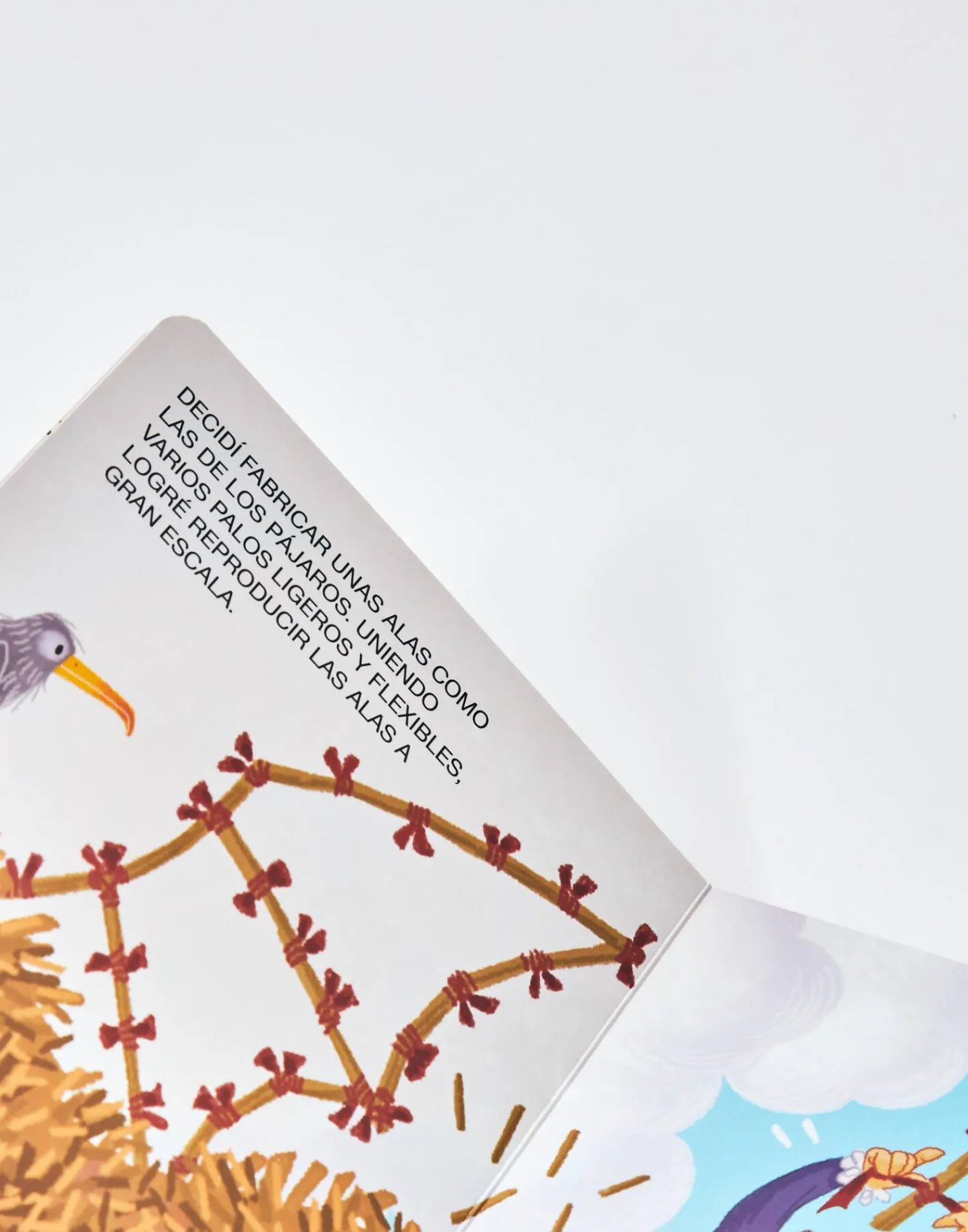 Natura Selection Mini Genios: Leonardo Da Vinci Discount