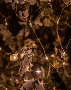 Natura Selection Mini Tira De Luces 94542-GOLD-c2af74 Discount