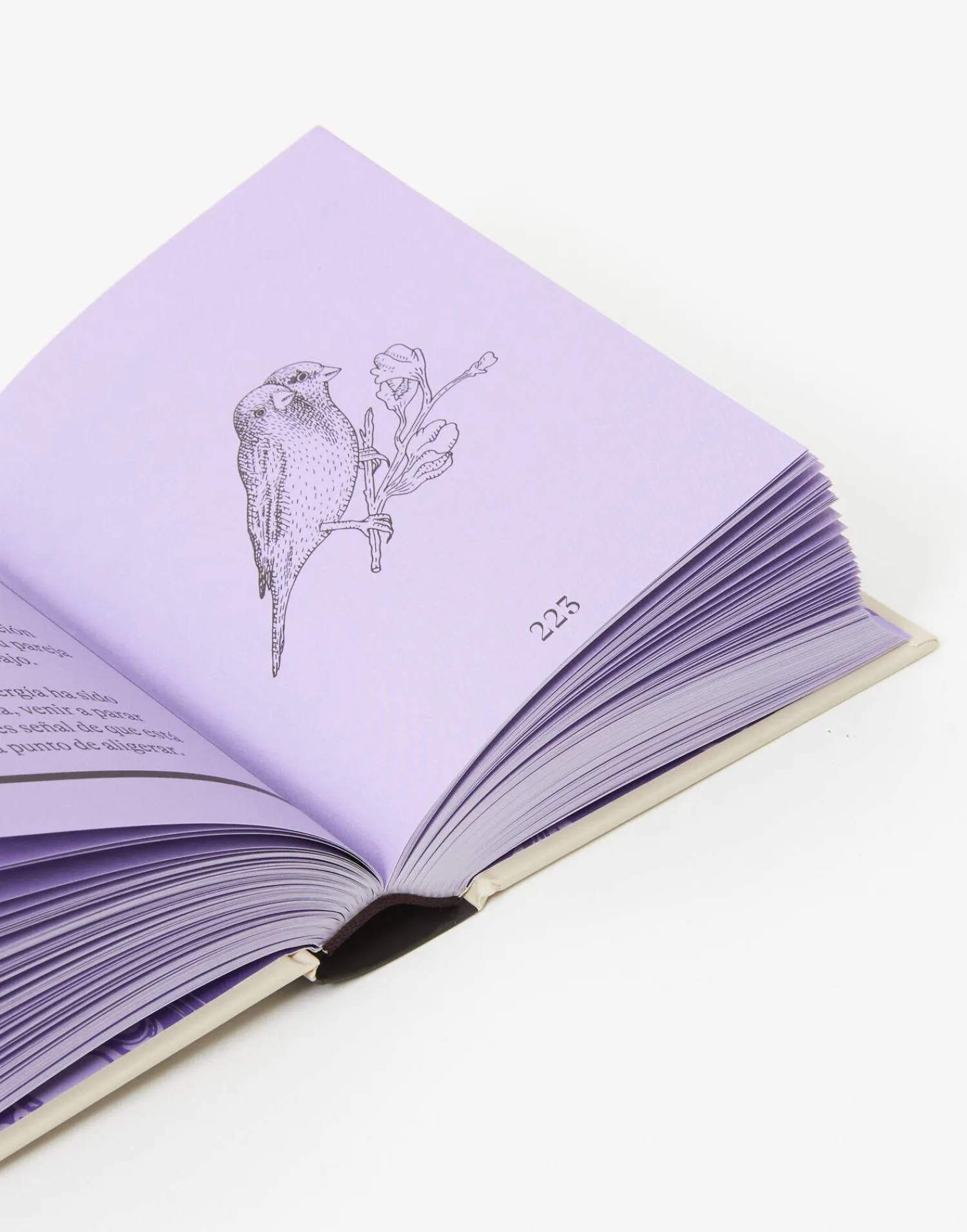 Natura Selection Oráculo Mágico 138091-MAGICO Discount