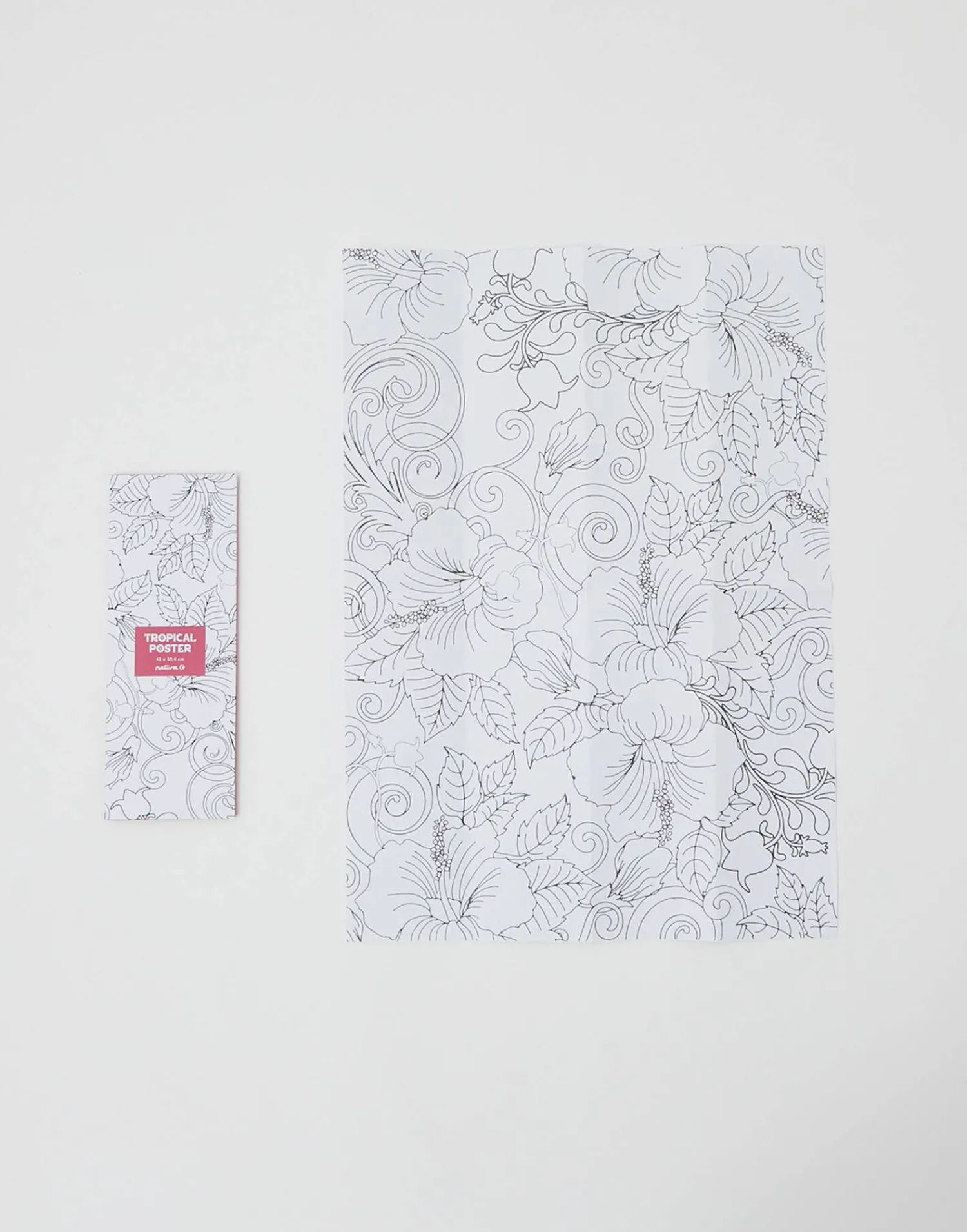 Natura Selection Póster Para Colorear Online