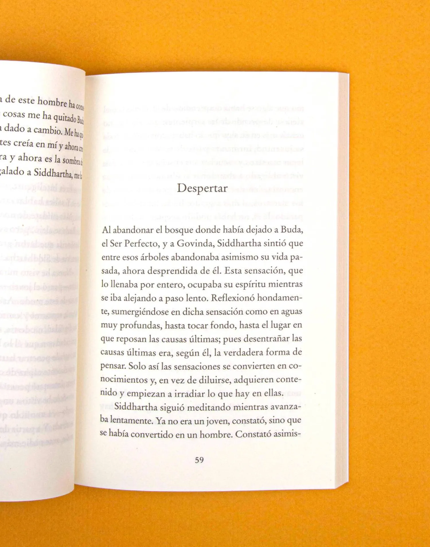 Natura Selection Siddhartha New