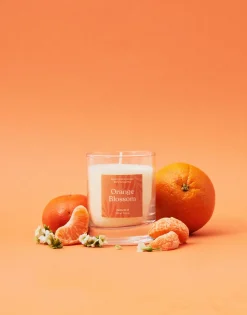 Natura Selection Vela Natura 200g Sale